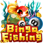 Câu Cá Bingo 78 wins
